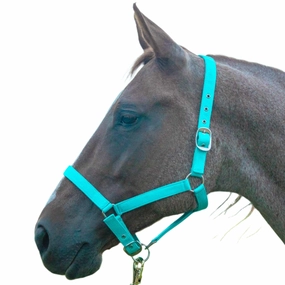 Jeffers Adjustable Nylon Full Size Horse Halter bird pet,aviary product