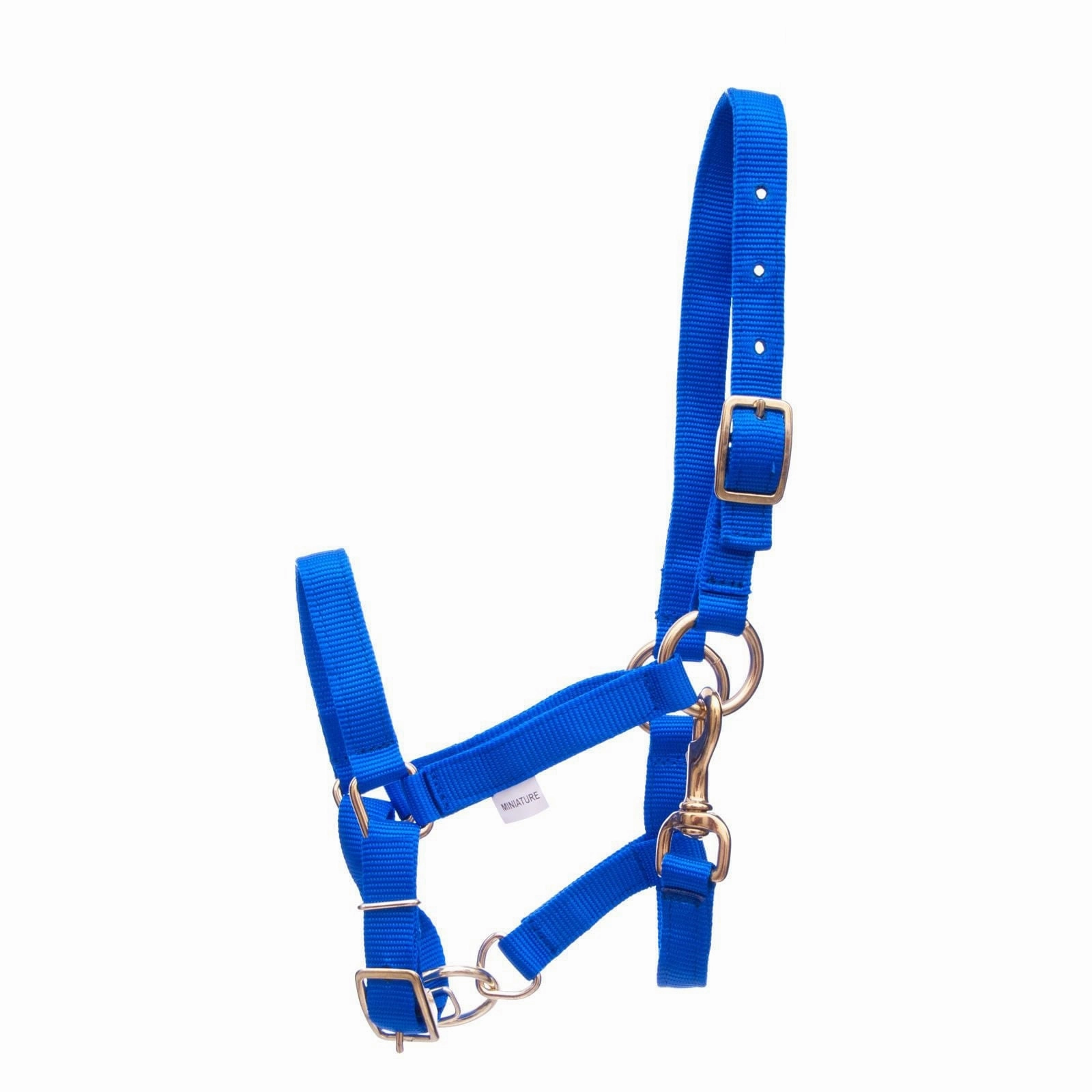 Jeffers Adjustable Nylon Miniature Horse Halter