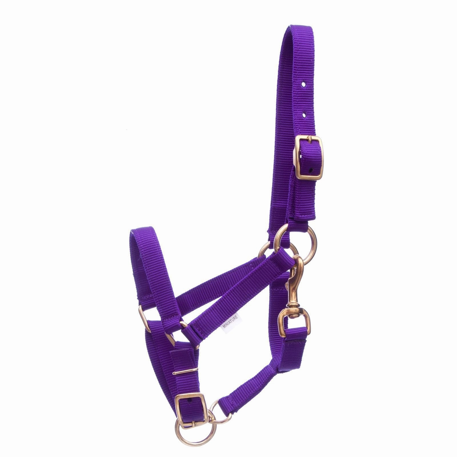 Jeffers Adjustable Nylon Miniature Horse Halter