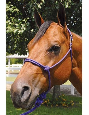 Jeffers Easy-On Clip Nylon Rope Horse Halter