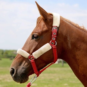 Jeffers Horse Fleece Halter Tube, 4 Piece Comfort Set bird pet,aviary product