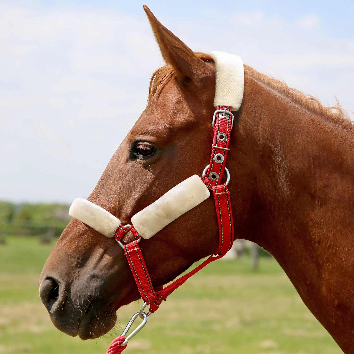 Jeffers Horse Fleece Halter Tube, 4 Piece Comfort Set bird pet,aviary product