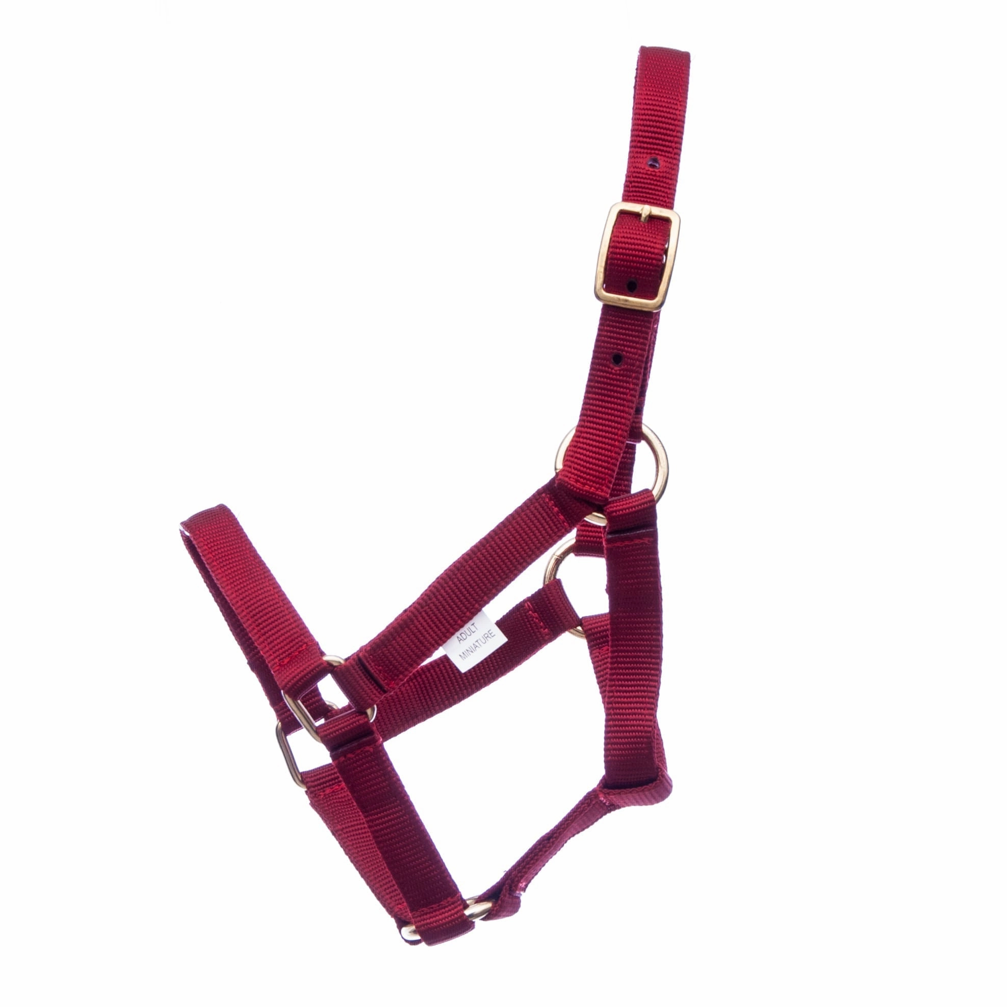 Jeffers Nylon Miniature Horse Halters, 2-Ply, 3/4"