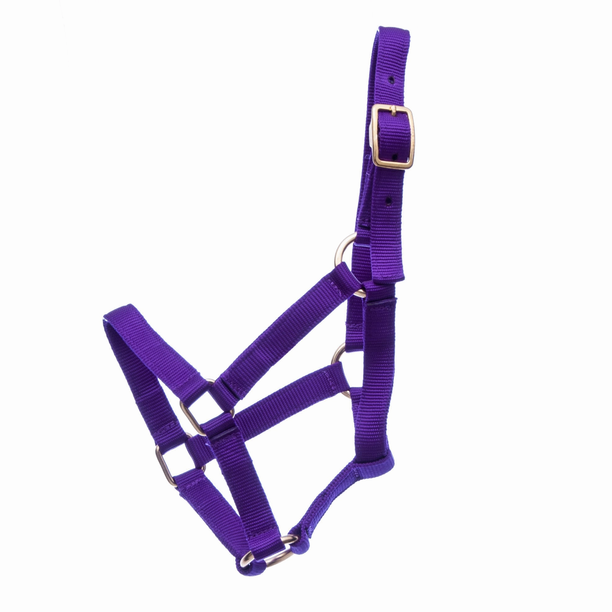 Jeffers Nylon Miniature Horse Halters, 2-Ply, 3/4"