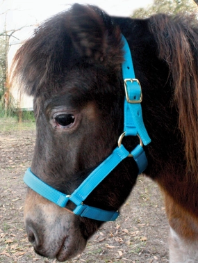 Jeffers Nylon Miniature Horse Halters, 2-Ply, 3/4" bird pet,aviary product