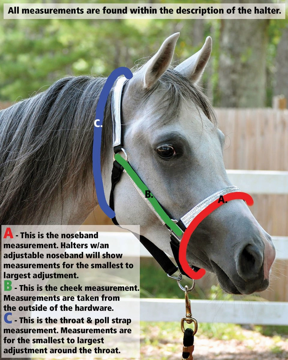 Jeffers Nylon Miniature Horse Halters, 2-Ply, 3/4"