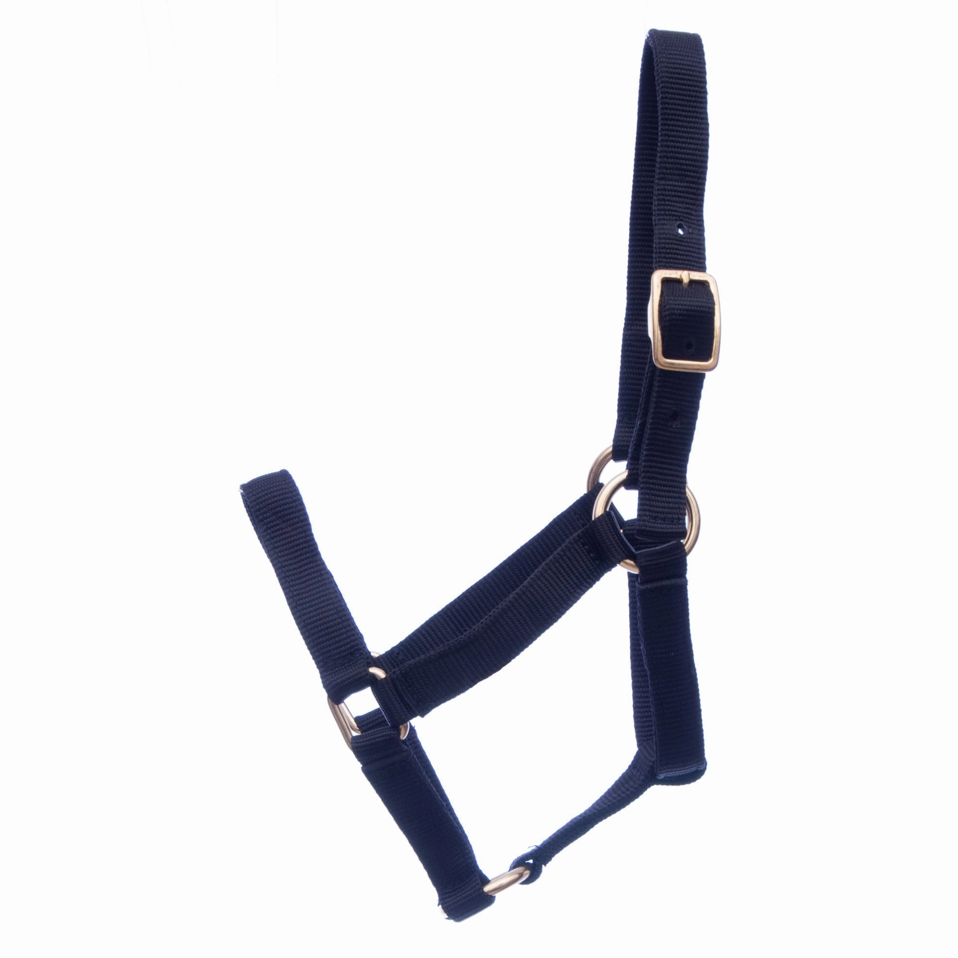 Jeffers Nylon Miniature Horse Halters, 2-Ply, 3/4"