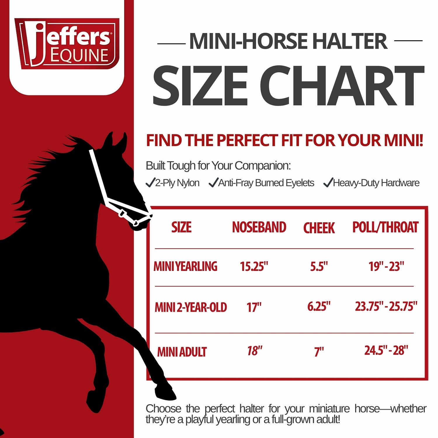 Jeffers Nylon Miniature Horse Halters, 2-Ply, 3/4"
