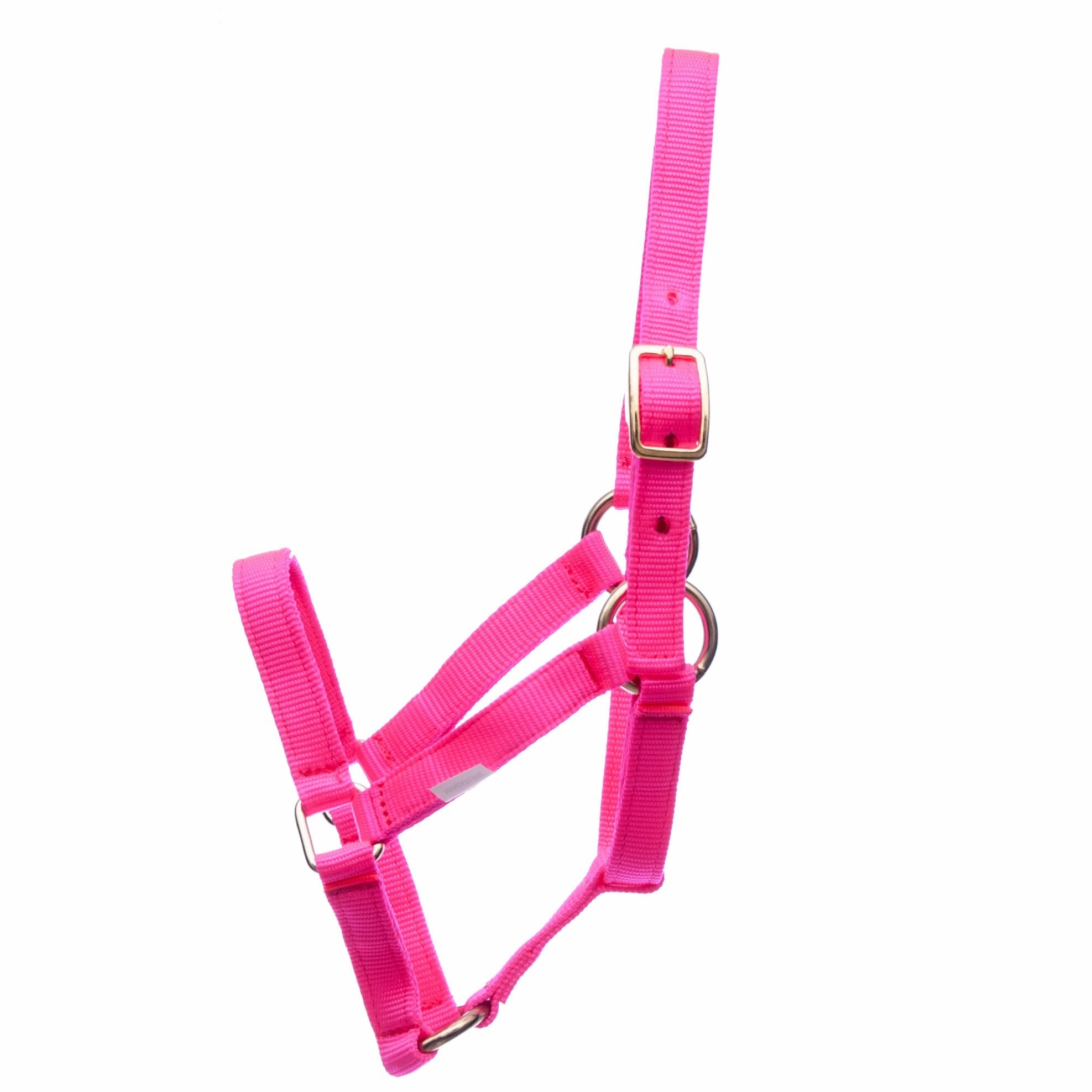 Jeffers Nylon Miniature Horse Halters, 2-Ply, 3/4"