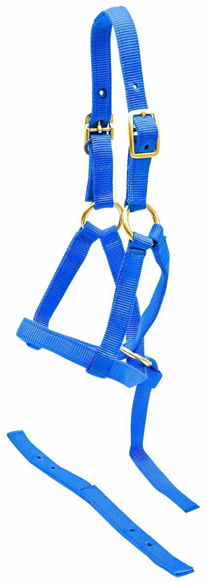 Jeffers Nylon "Grow With Me" Weanling Halter, 3/4"W