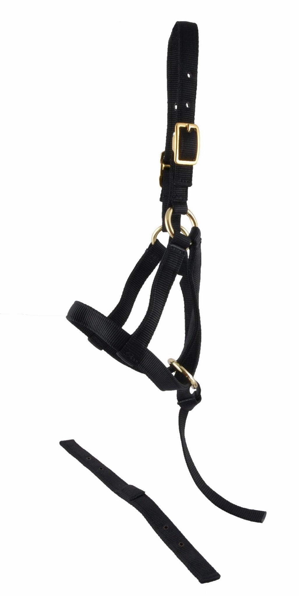 Jeffers Nylon "Grow With Me" Weanling Halter, 3/4"W