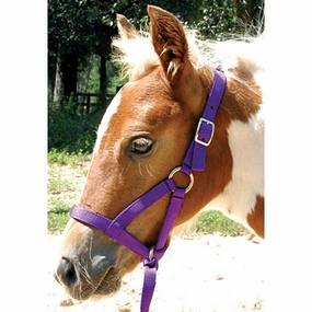 Jeffers Nylon "Grow With Me" Weanling Halter, 3/4"W bird pet,aviary product