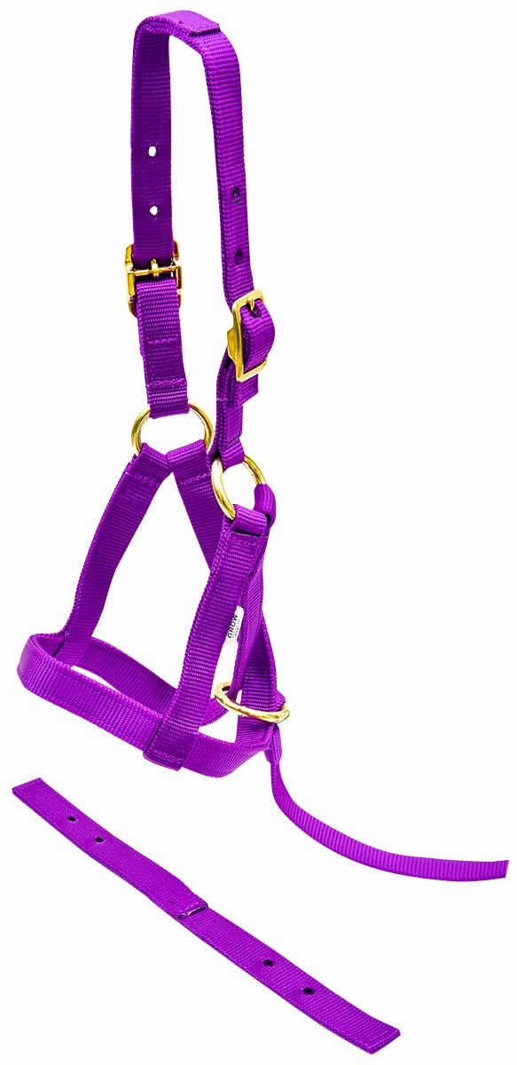 Jeffers Nylon "Grow With Me" Weanling Halter, 3/4"W