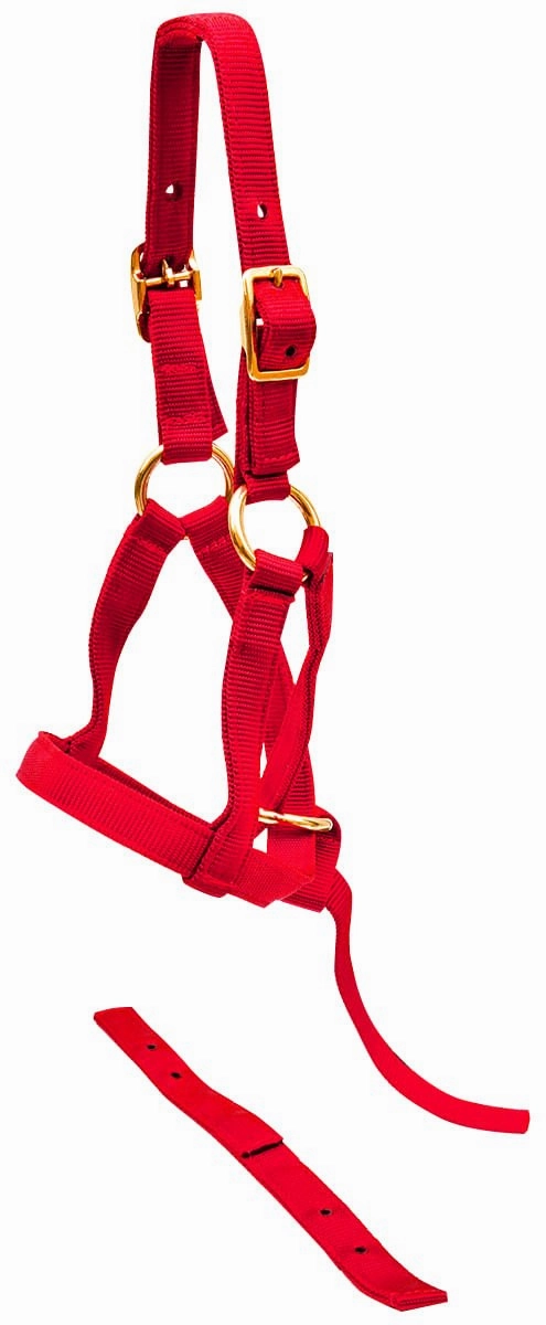 Jeffers Nylon "Grow With Me" Weanling Halter, 3/4"W