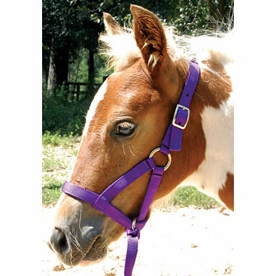 Jeffers Nylon "Grow With Me" Weanling Halter, 3/4"W bird pet,aviary product