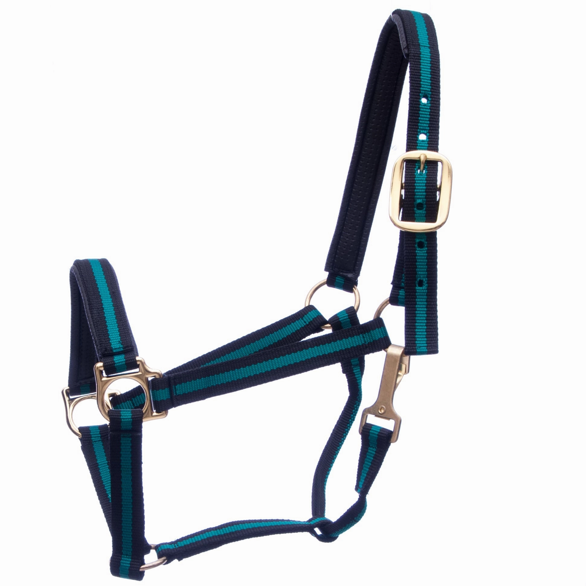 Jeffers Padded Nylon Horse Halter with Throat Snap