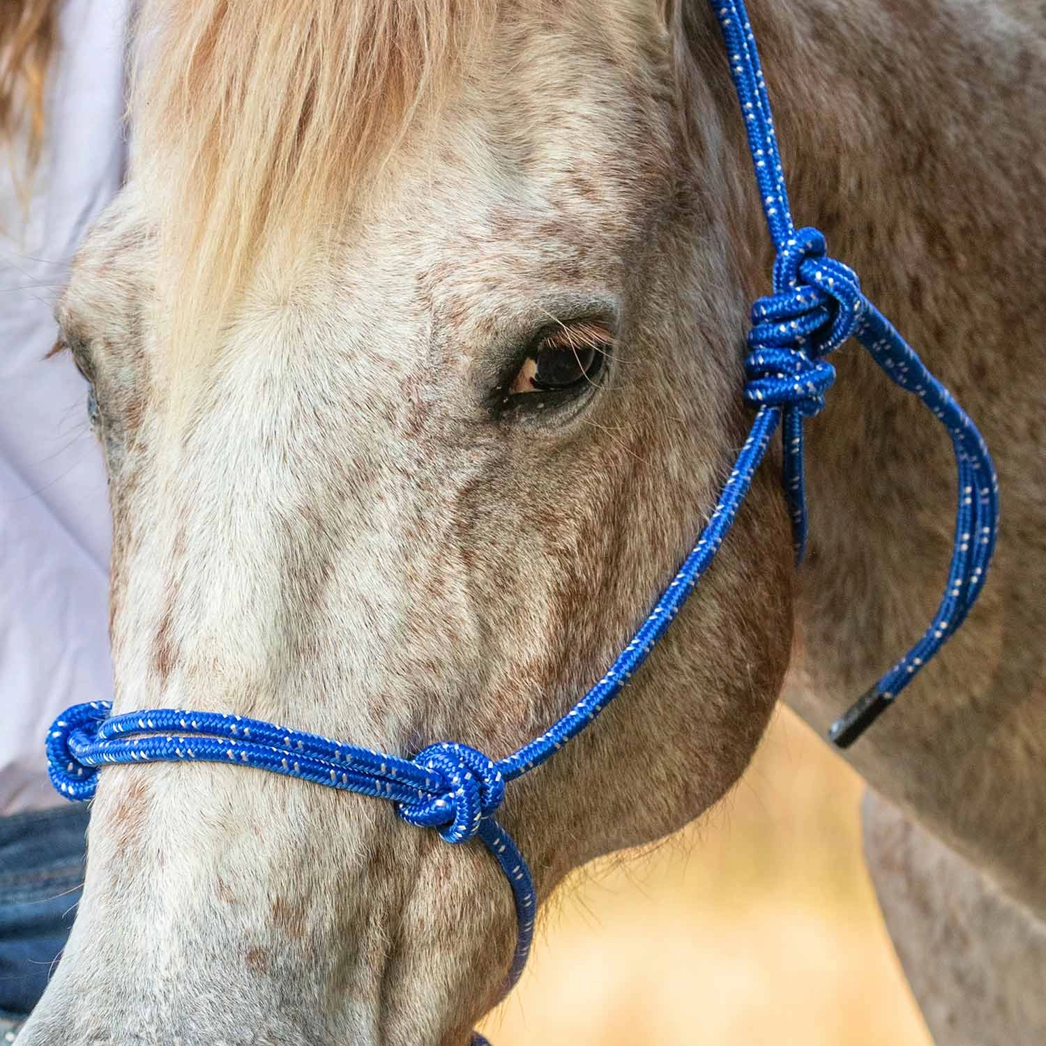 Jeffers Poly Braided Rope Horse Halter with Lead