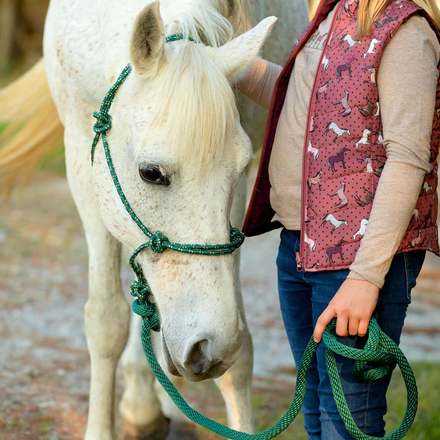 Jeffers Poly Braided Rope Horse Halter with Lead