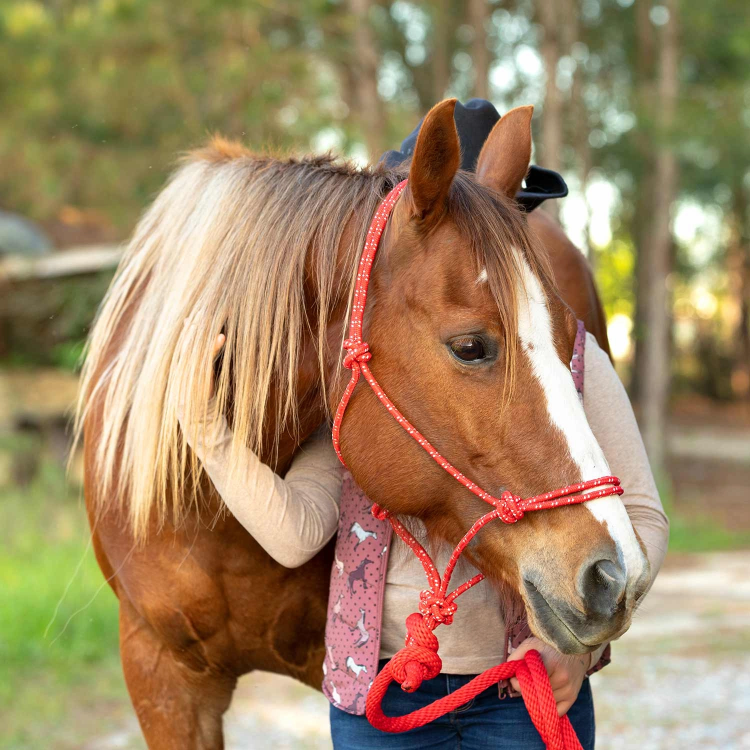 Jeffers Poly Braided Rope Horse Halter with Lead
