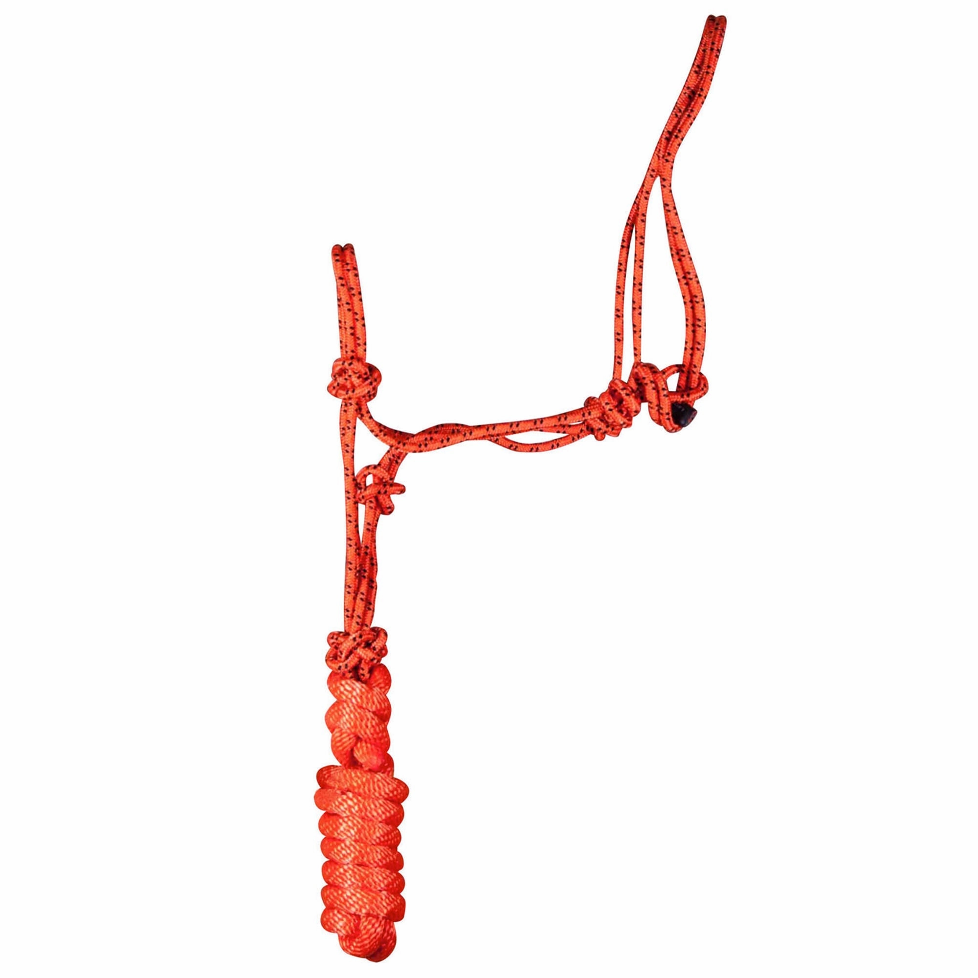 Jeffers Poly Braided Rope Horse Halter with Lead