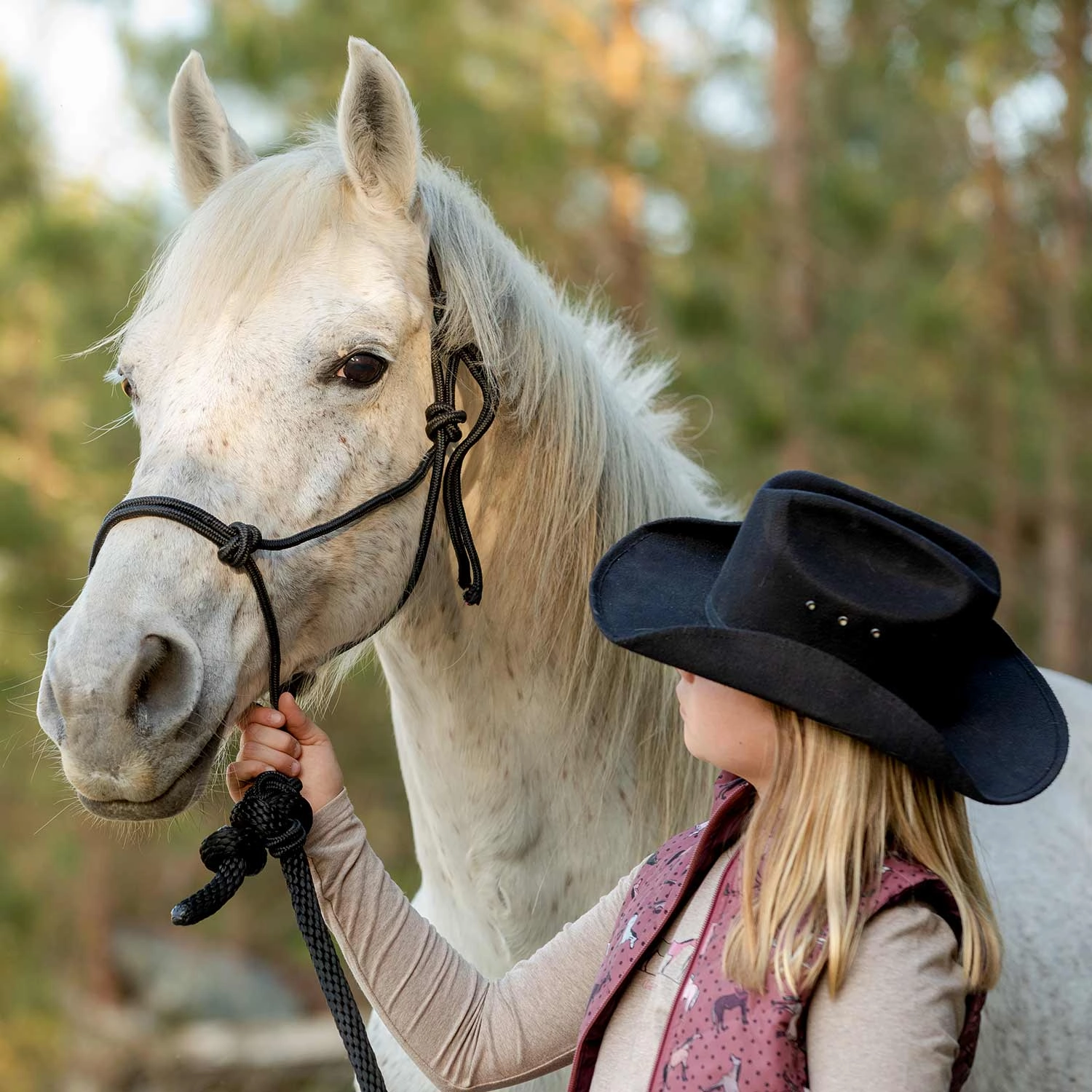 Jeffers Poly Braided Rope Horse Halter with Lead