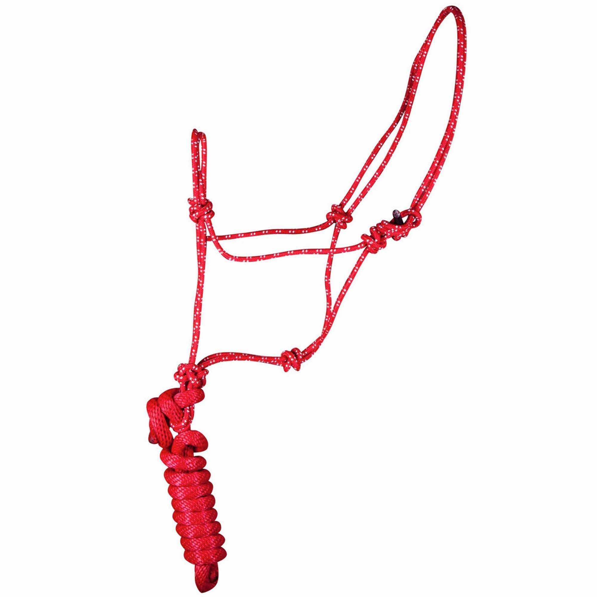 Jeffers Poly Braided Rope Horse Halter with Lead