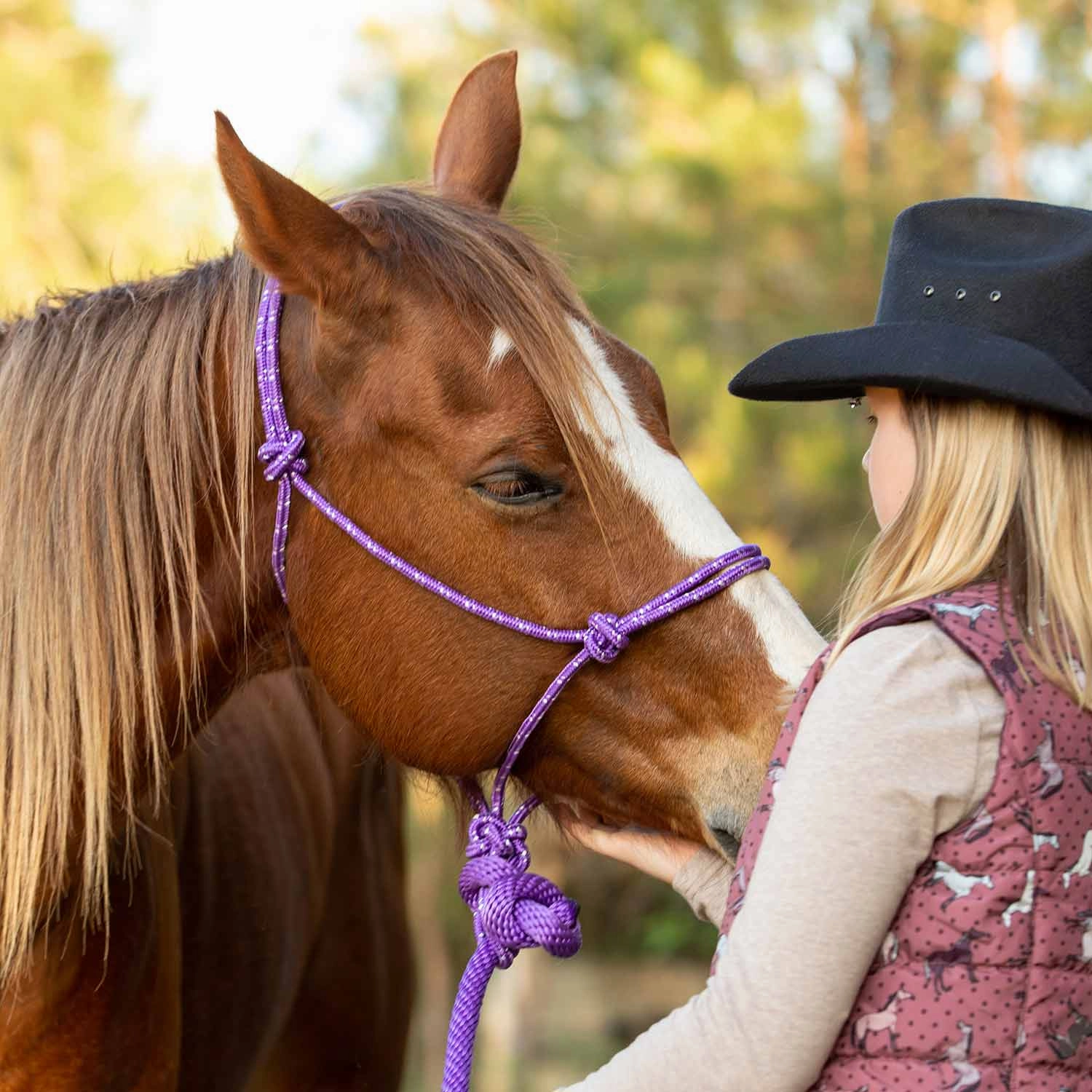 Jeffers Poly Braided Rope Horse Halter with Lead
