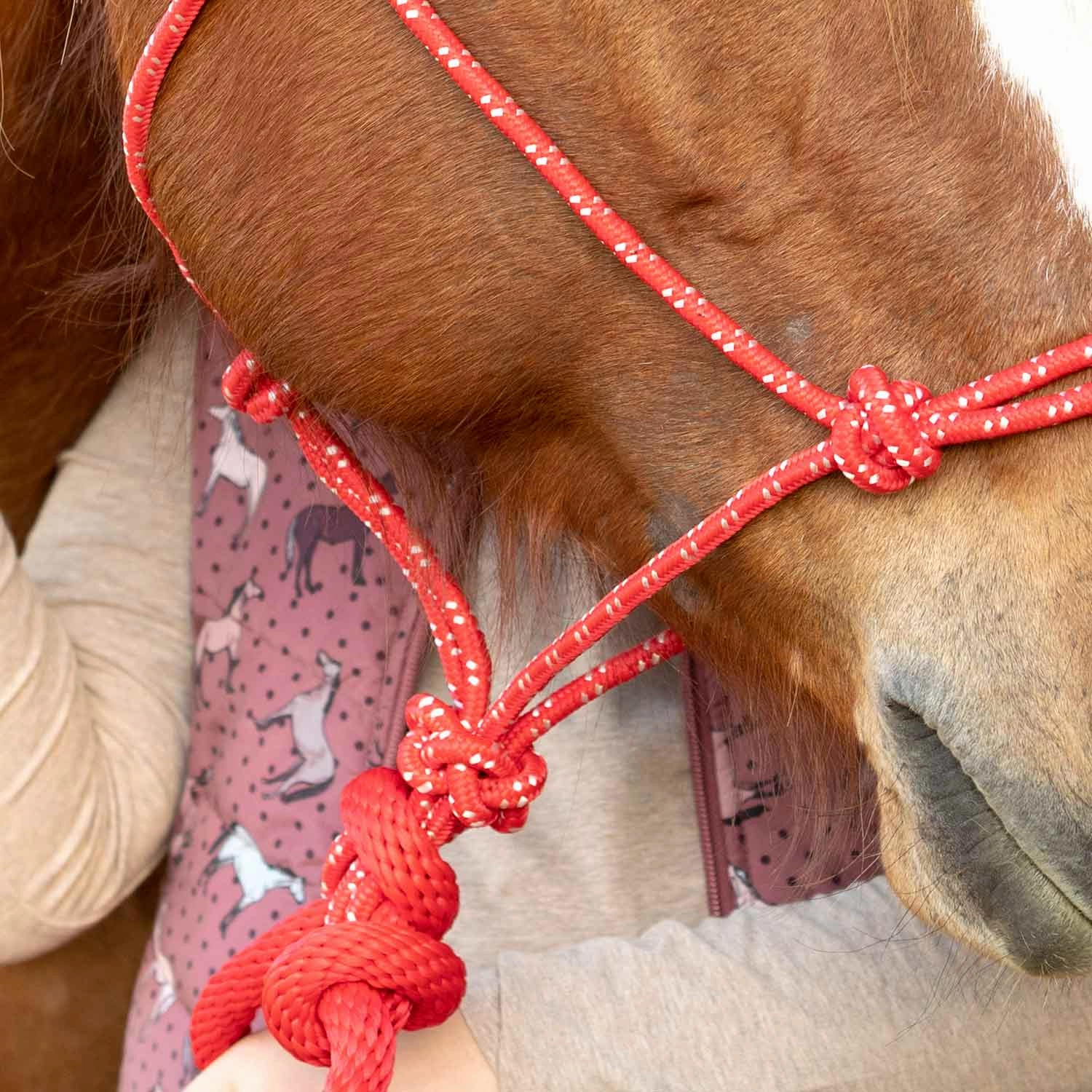 Jeffers Poly Braided Rope Horse Halter with Lead