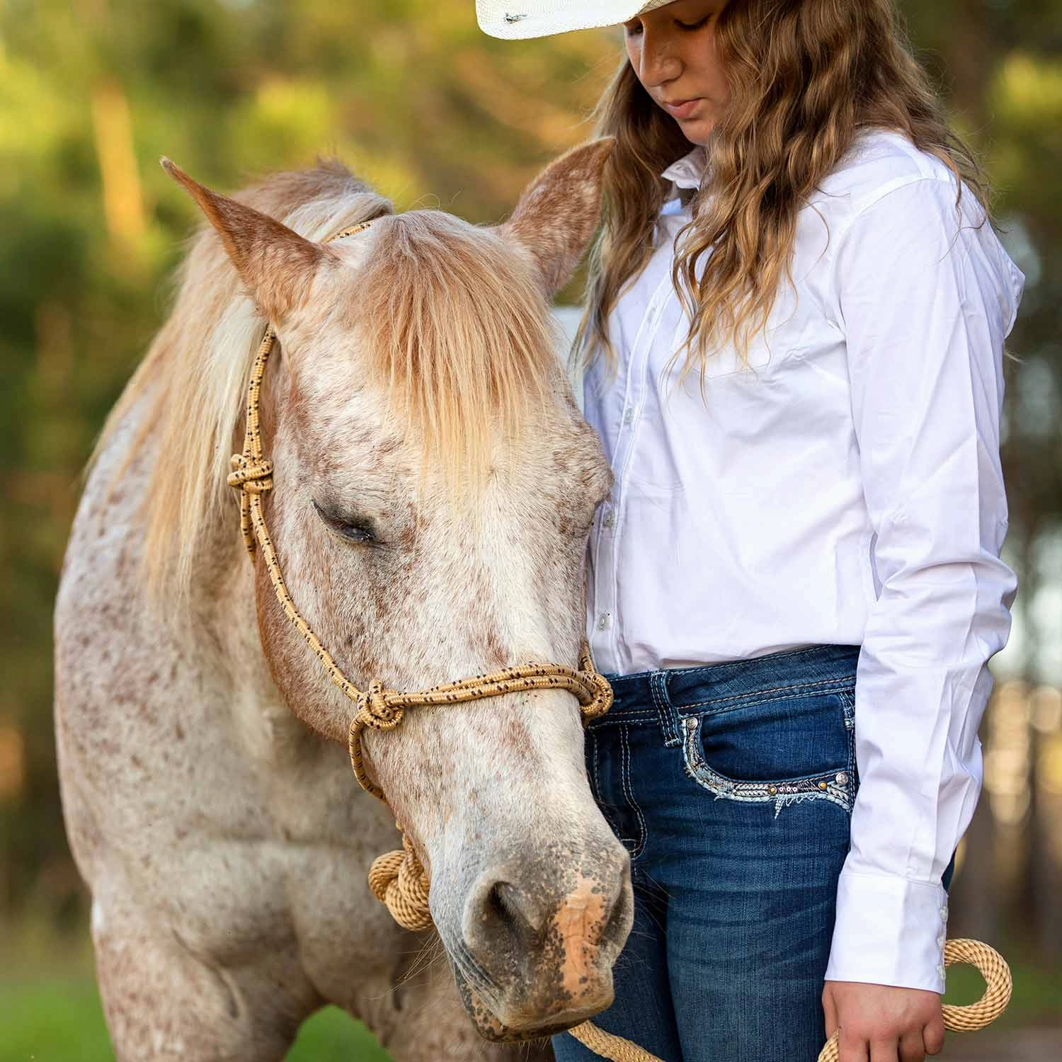 Jeffers Poly Braided Rope Horse Halter with Lead
