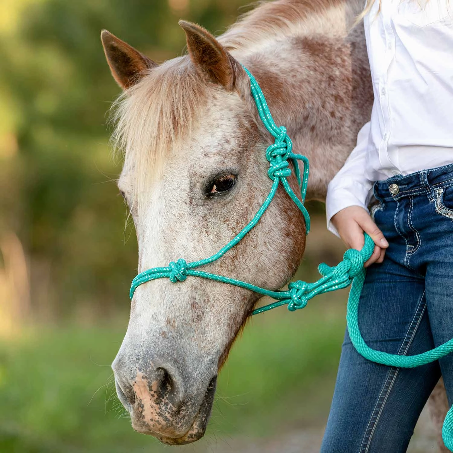 Jeffers Poly Braided Rope Horse Halter with Lead