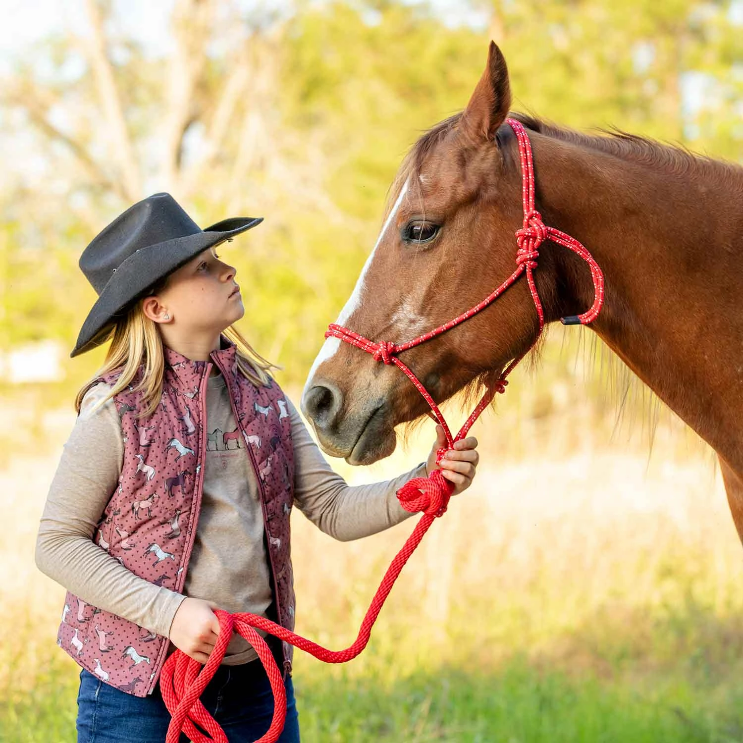 Jeffers Poly Braided Rope Horse Halter with Lead