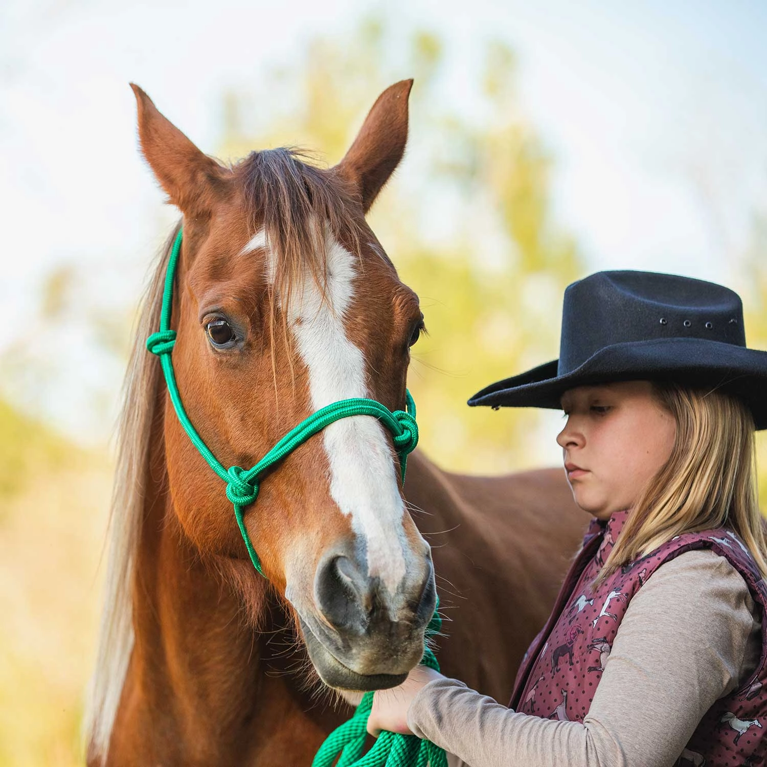 Jeffers Poly Braided Rope Horse Halter with Lead