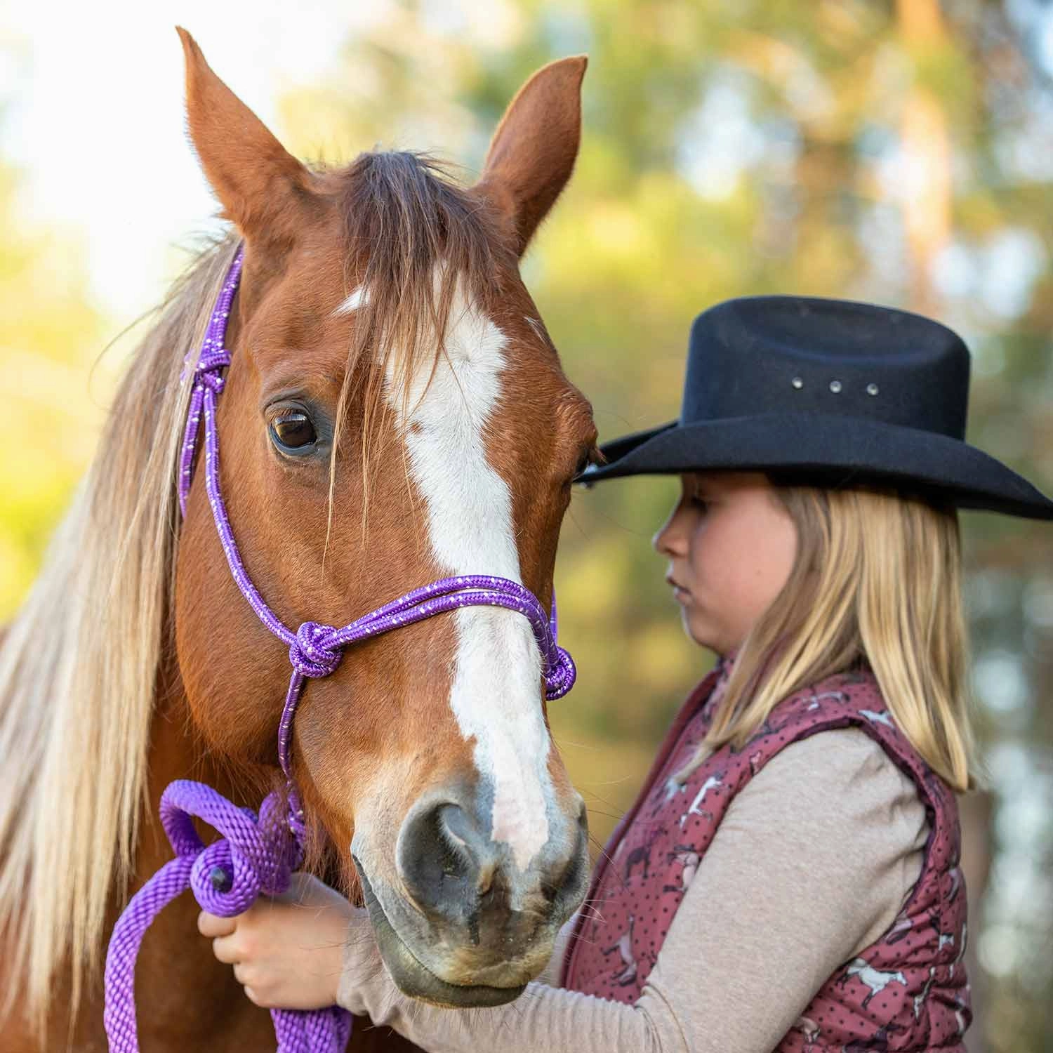 Jeffers Poly Braided Rope Horse Halter with Lead