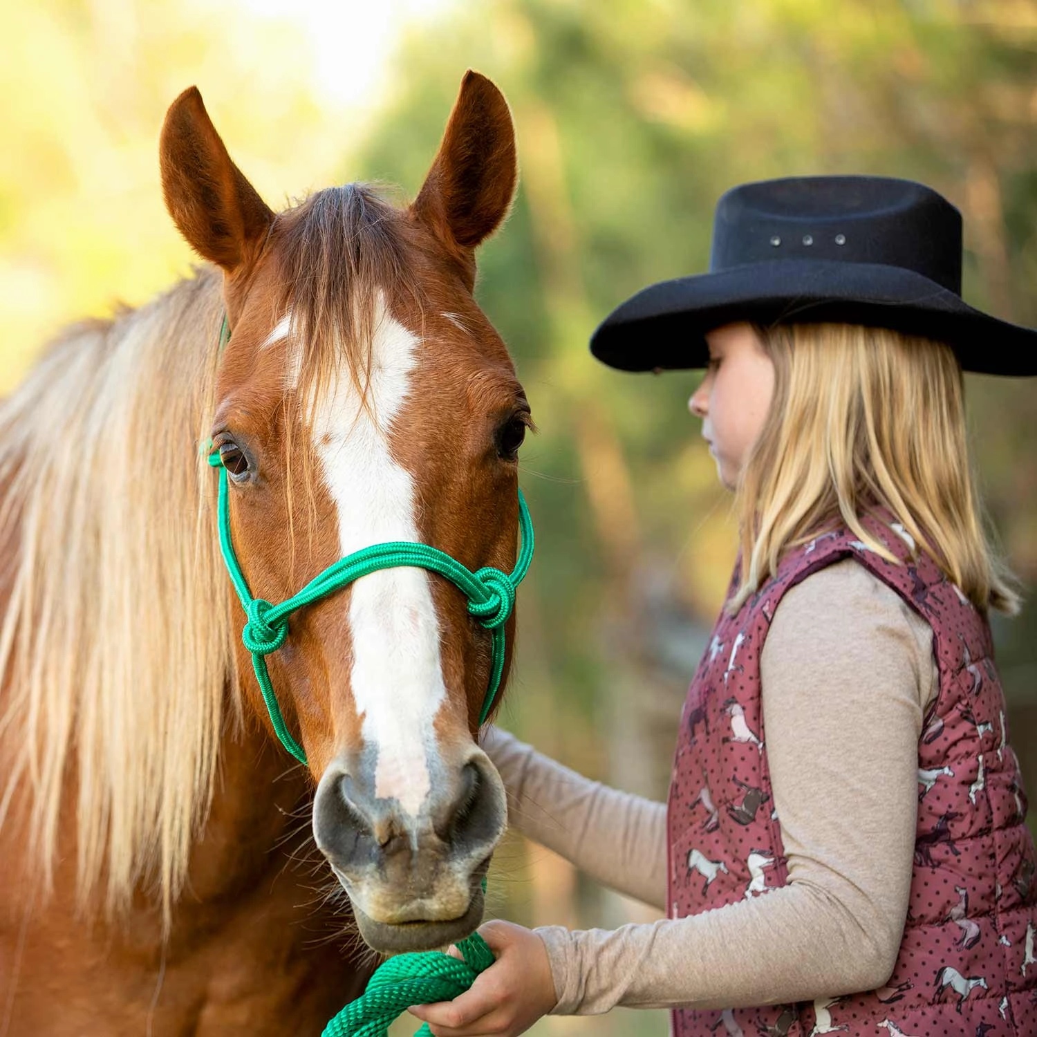Jeffers Poly Braided Rope Horse Halter with Lead