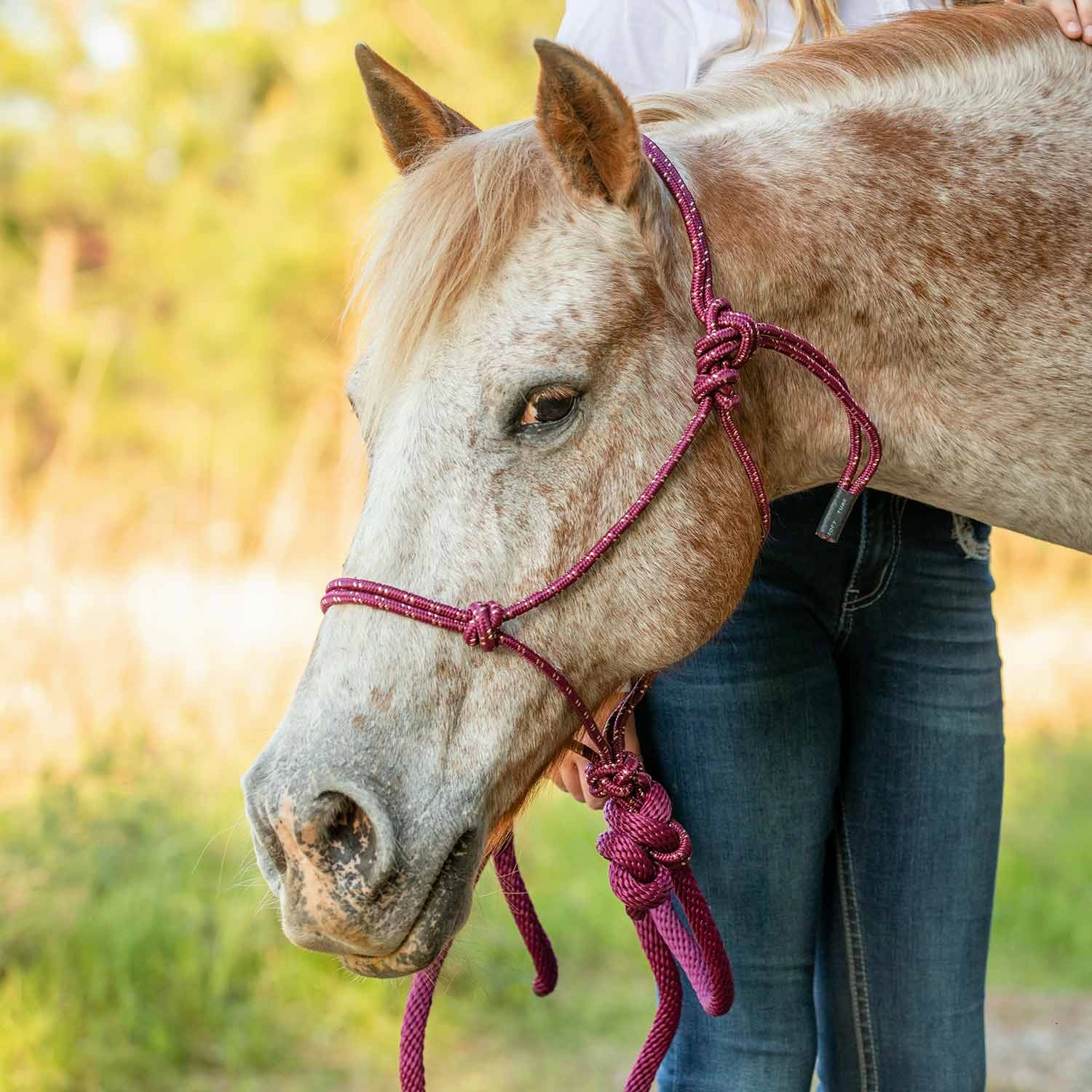Jeffers Poly Braided Rope Horse Halter with Lead