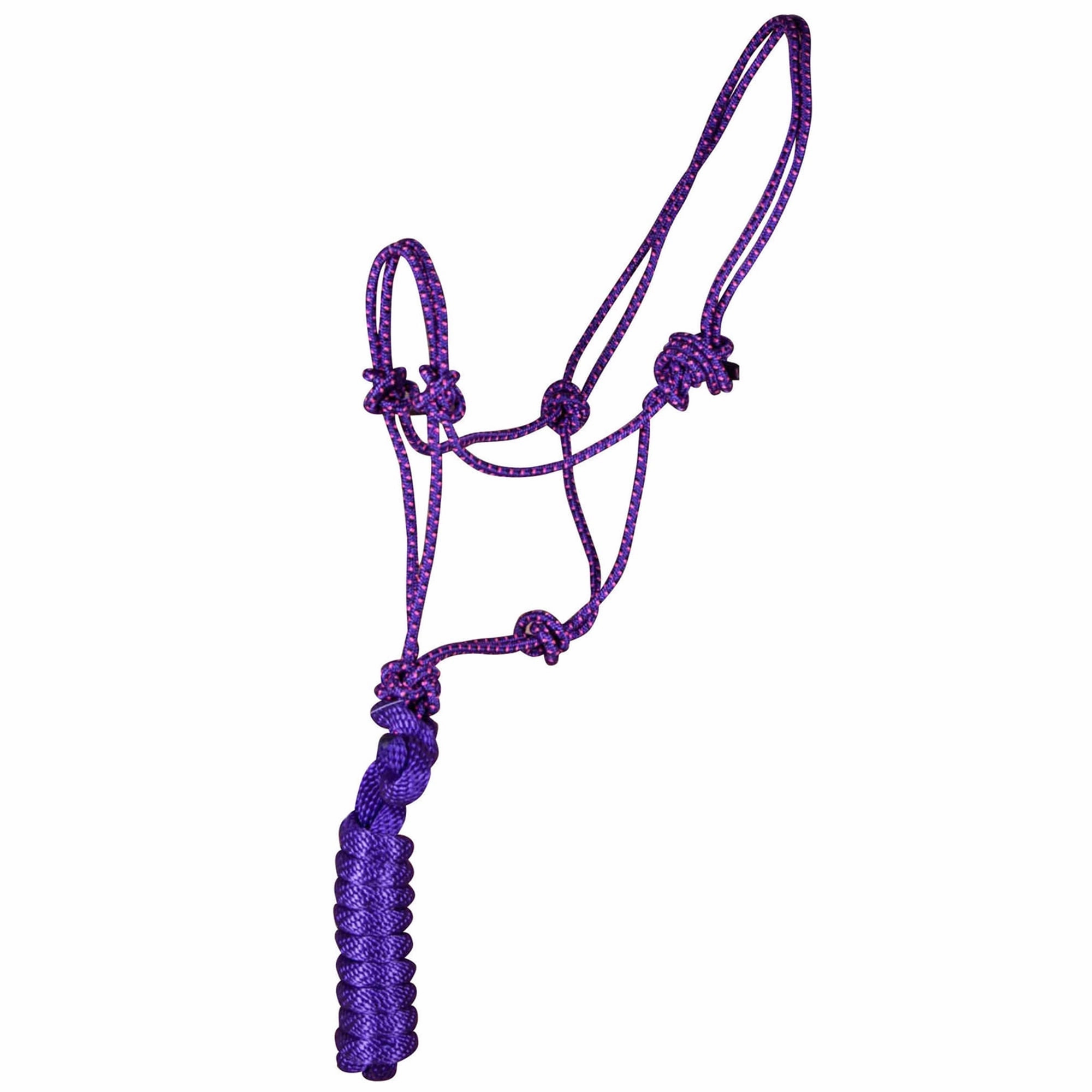 Jeffers Poly Braided Rope Horse Halter with Lead