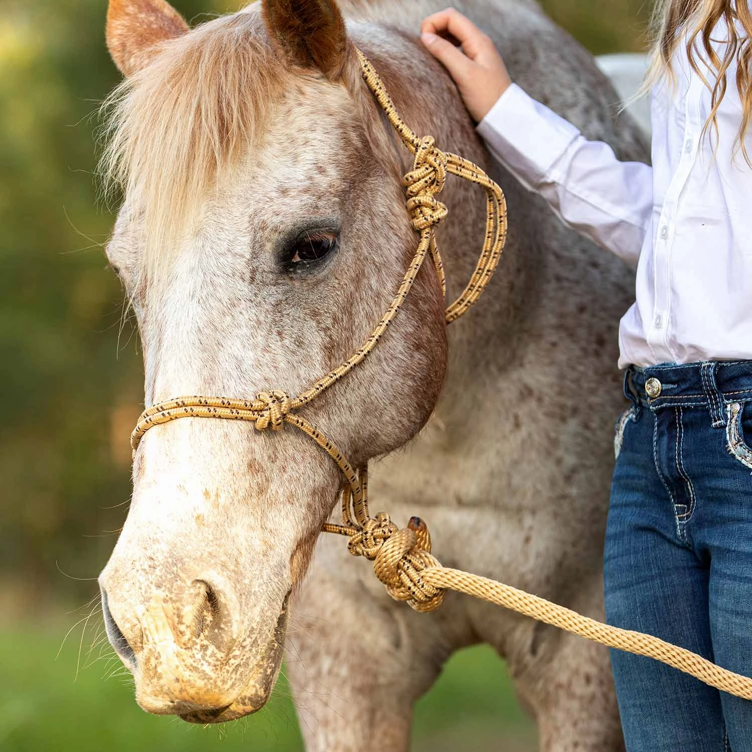 Jeffers Poly Braided Rope Horse Halter with Lead