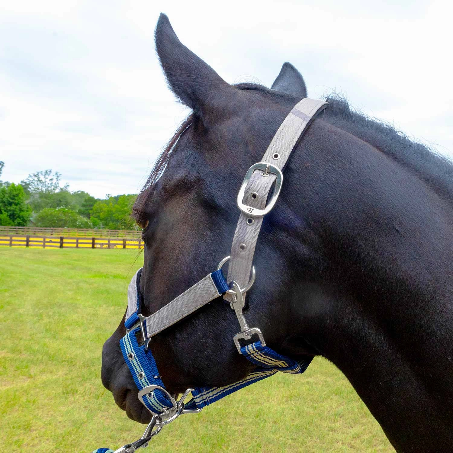 Jeffers Poplar Head Nylon Horse Halter & Lead Matching Set, Full Size