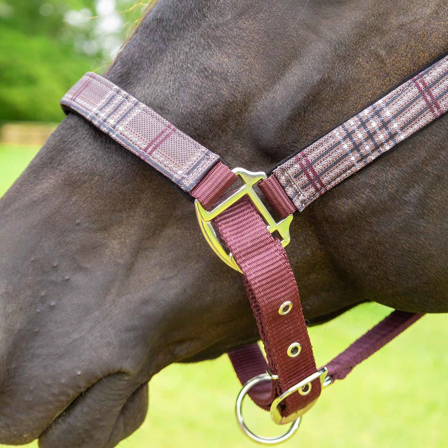 Jeffers Poplar Head Nylon Horse Halter & Lead Matching Set, Full Size