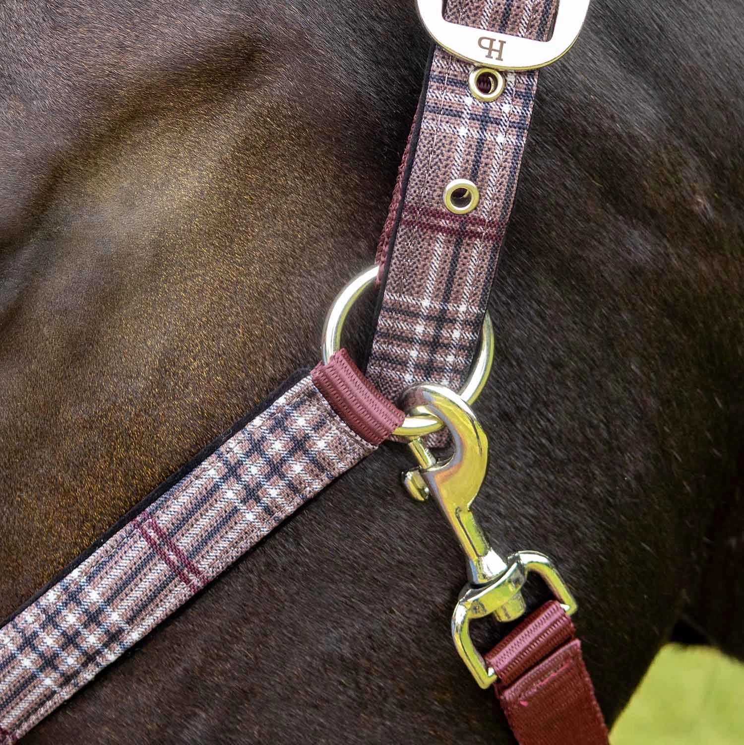 Jeffers Poplar Head Nylon Horse Halter & Lead Matching Set, Full Size