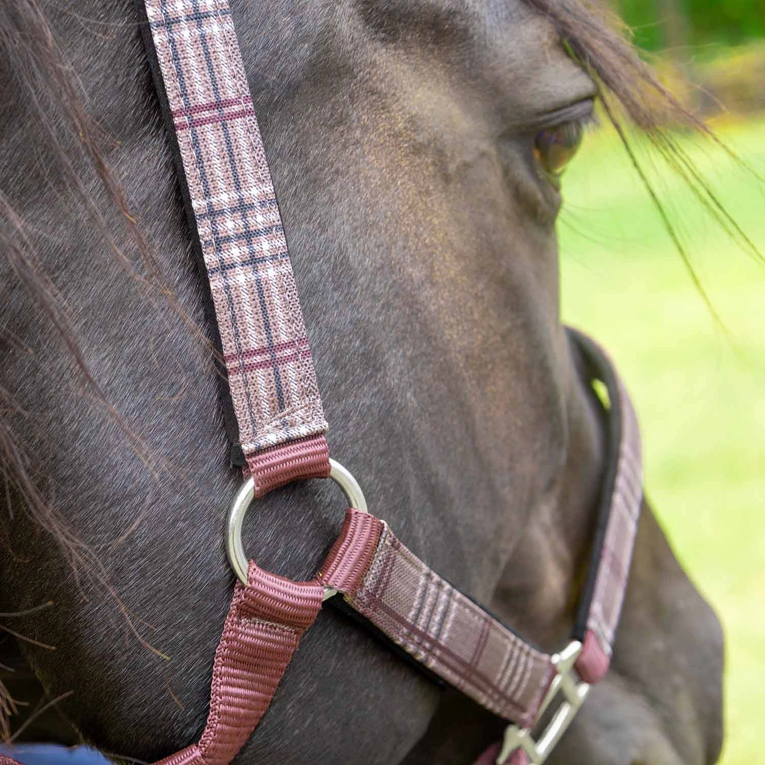 Jeffers Poplar Head Nylon Horse Halter & Lead Matching Set, Full Size