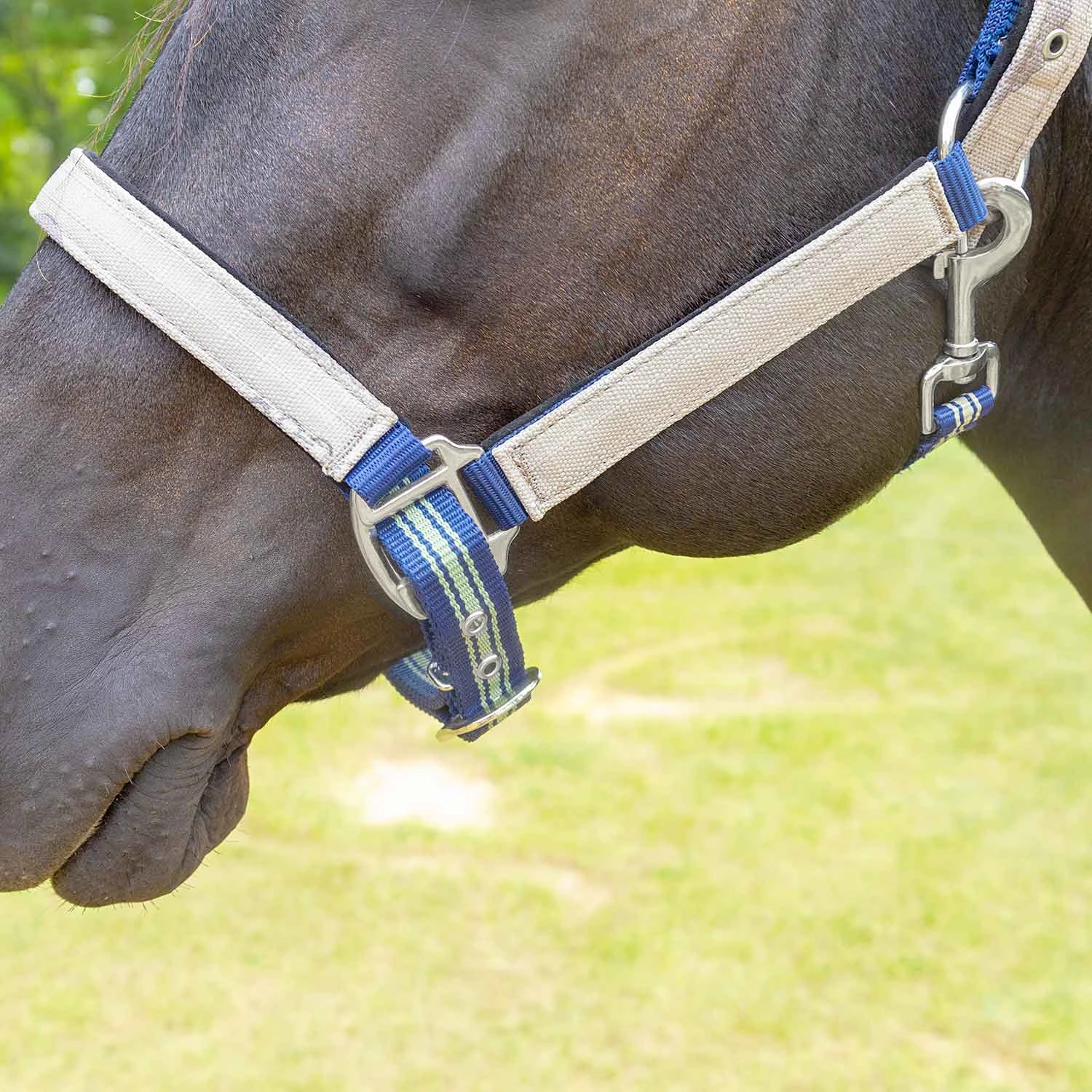 Jeffers Poplar Head Nylon Horse Halter & Lead Matching Set, Full Size