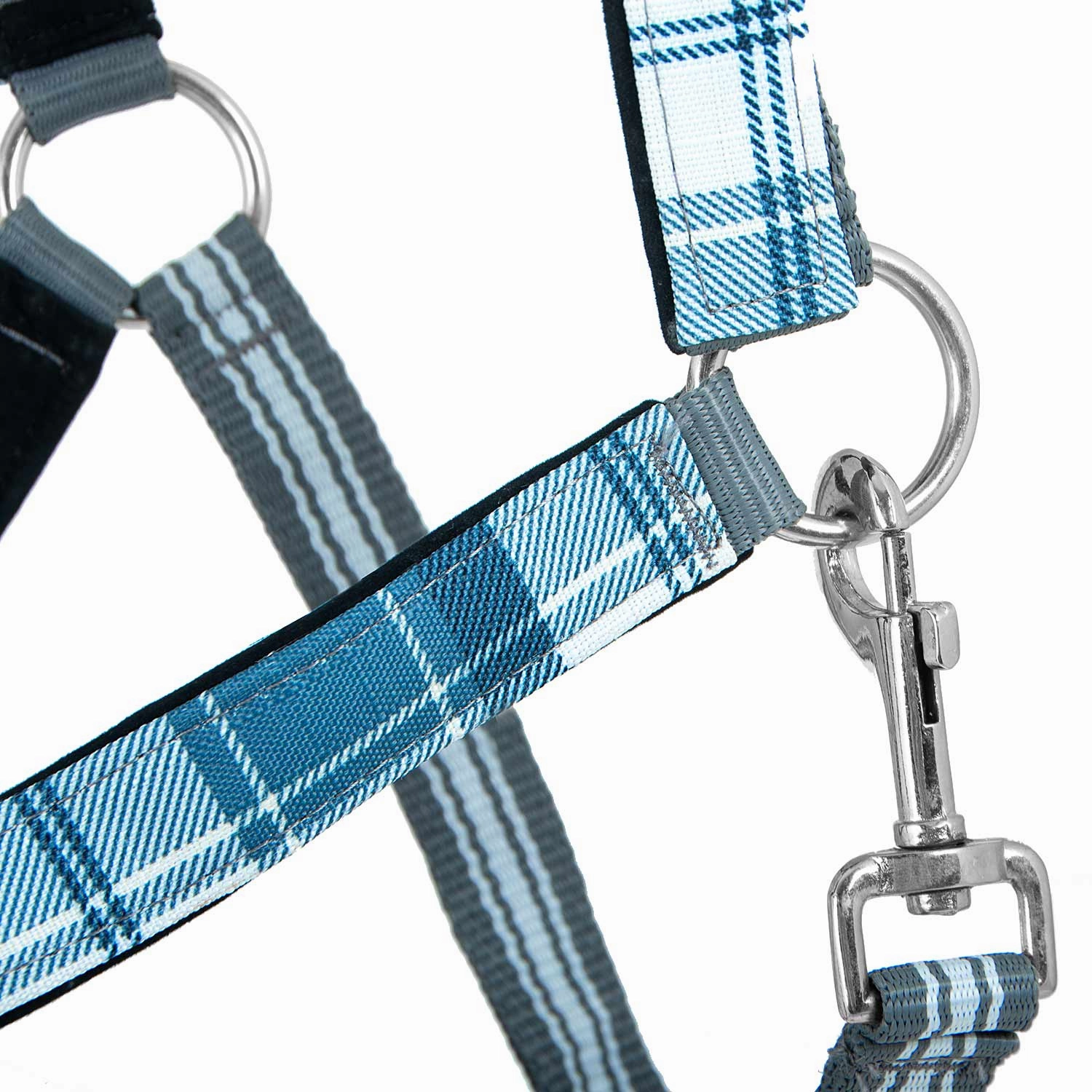 Jeffers Poplar Head Nylon Horse Halter & Lead Matching Set, Full Size