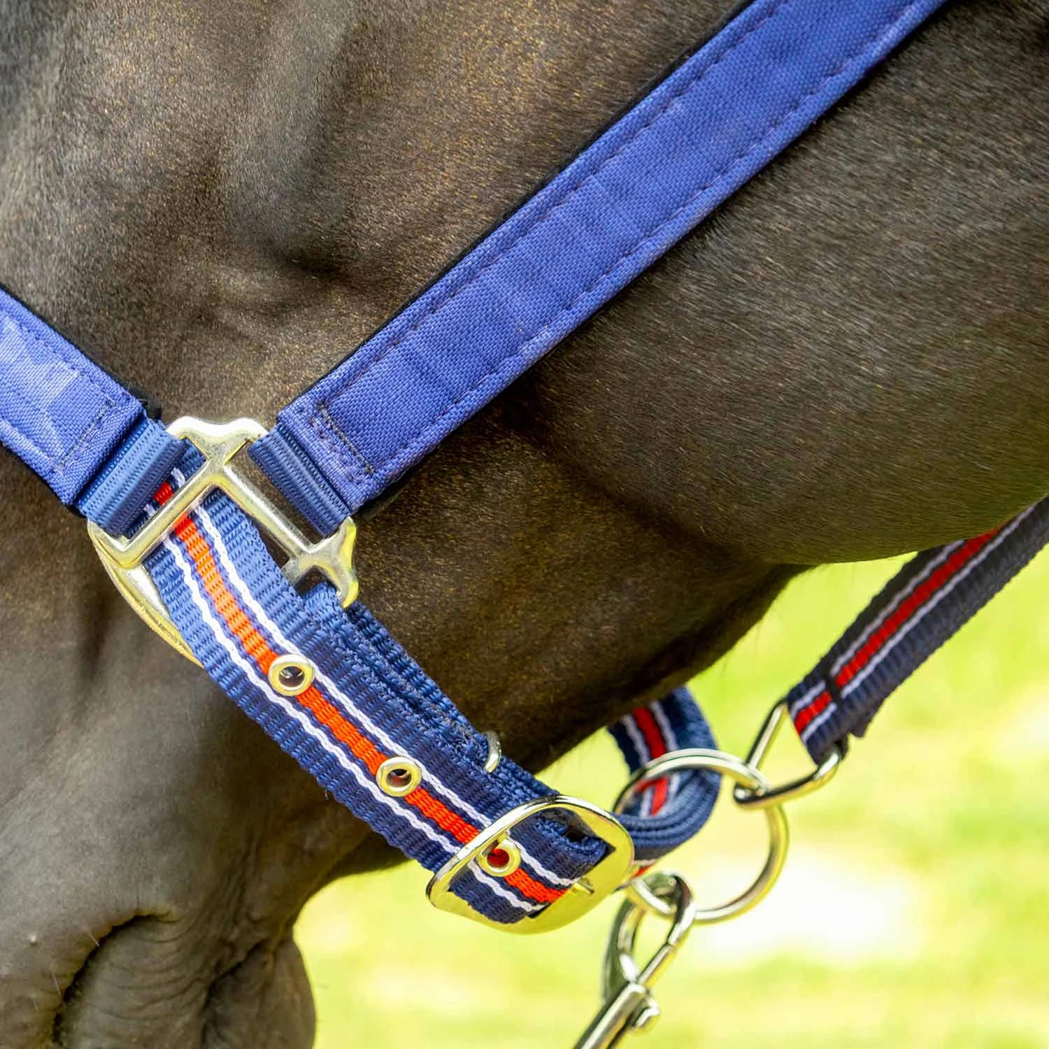 Jeffers Poplar Head Nylon Horse Halter & Lead Matching Set, Full Size
