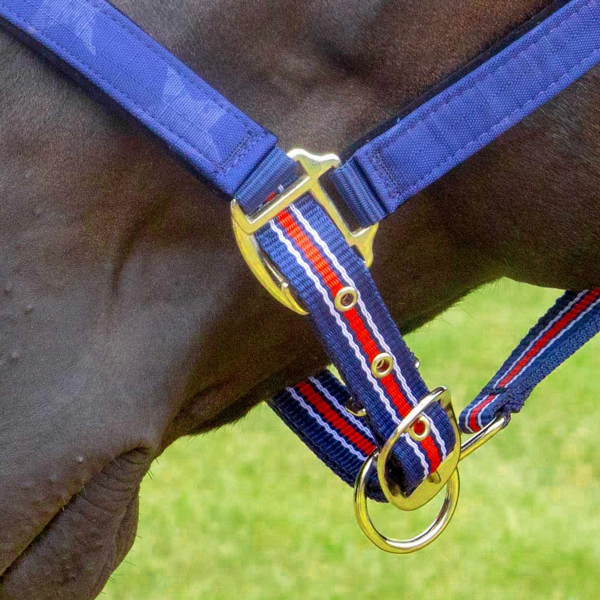 Jeffers Poplar Head Nylon Horse Halter & Lead Matching Set, Full Size