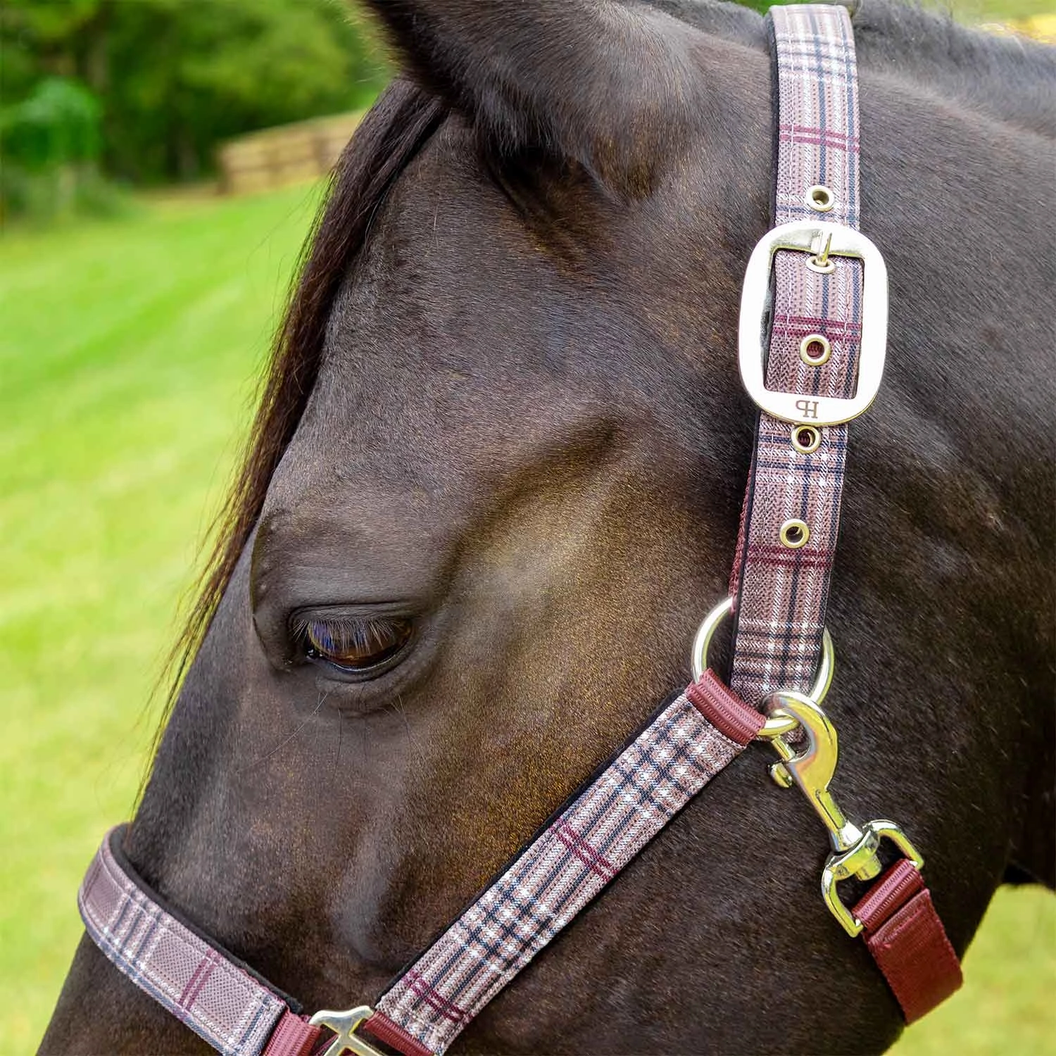 Jeffers Poplar Head Nylon Horse Halter & Lead Matching Set, Full Size