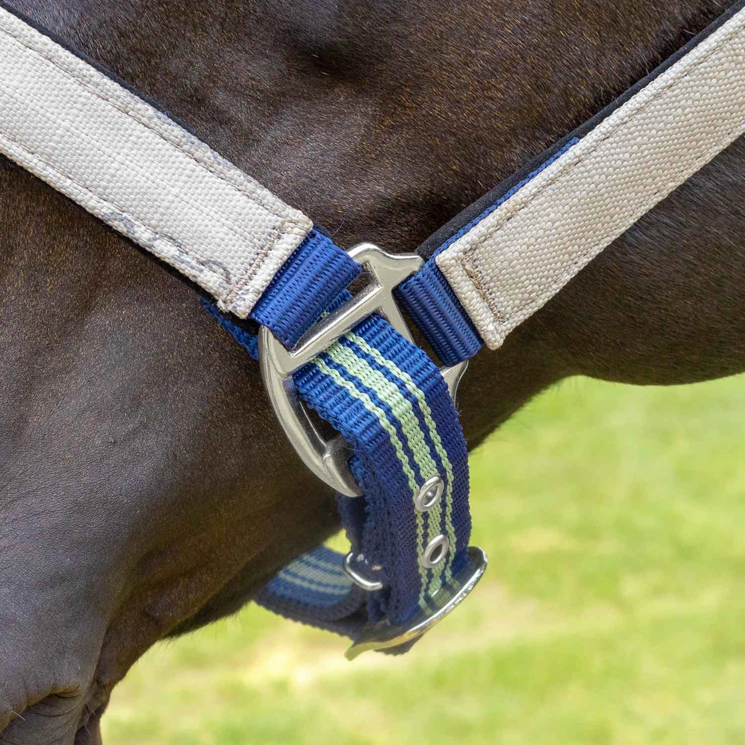 Jeffers Poplar Head Nylon Horse Halter & Lead Matching Set, Full Size
