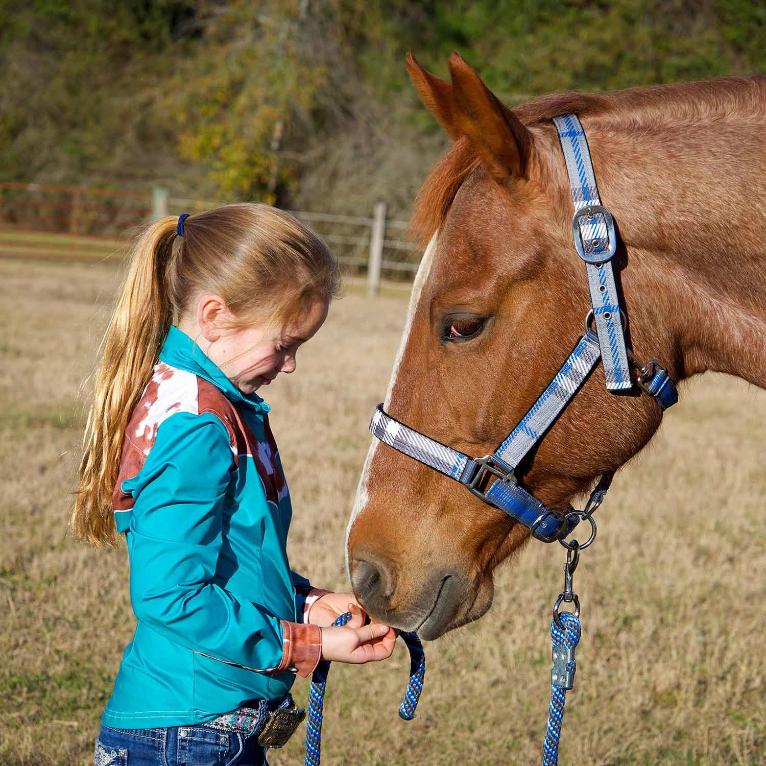 Jeffers Poplar Head Nylon Horse Halter & Lead Matching Set, Full Size