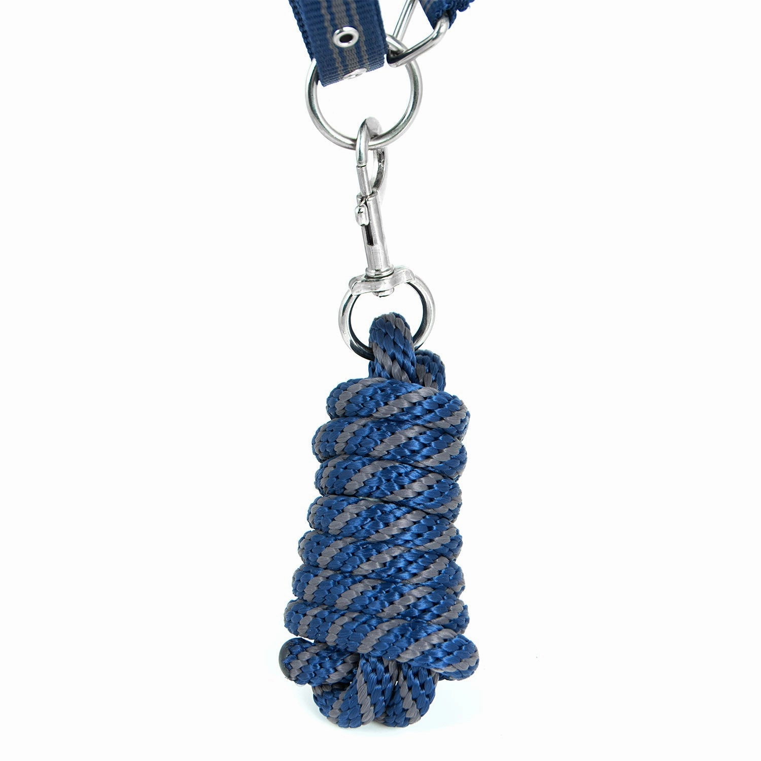 Jeffers Poplar Head Nylon Horse Halter & Lead Matching Set, Full Size