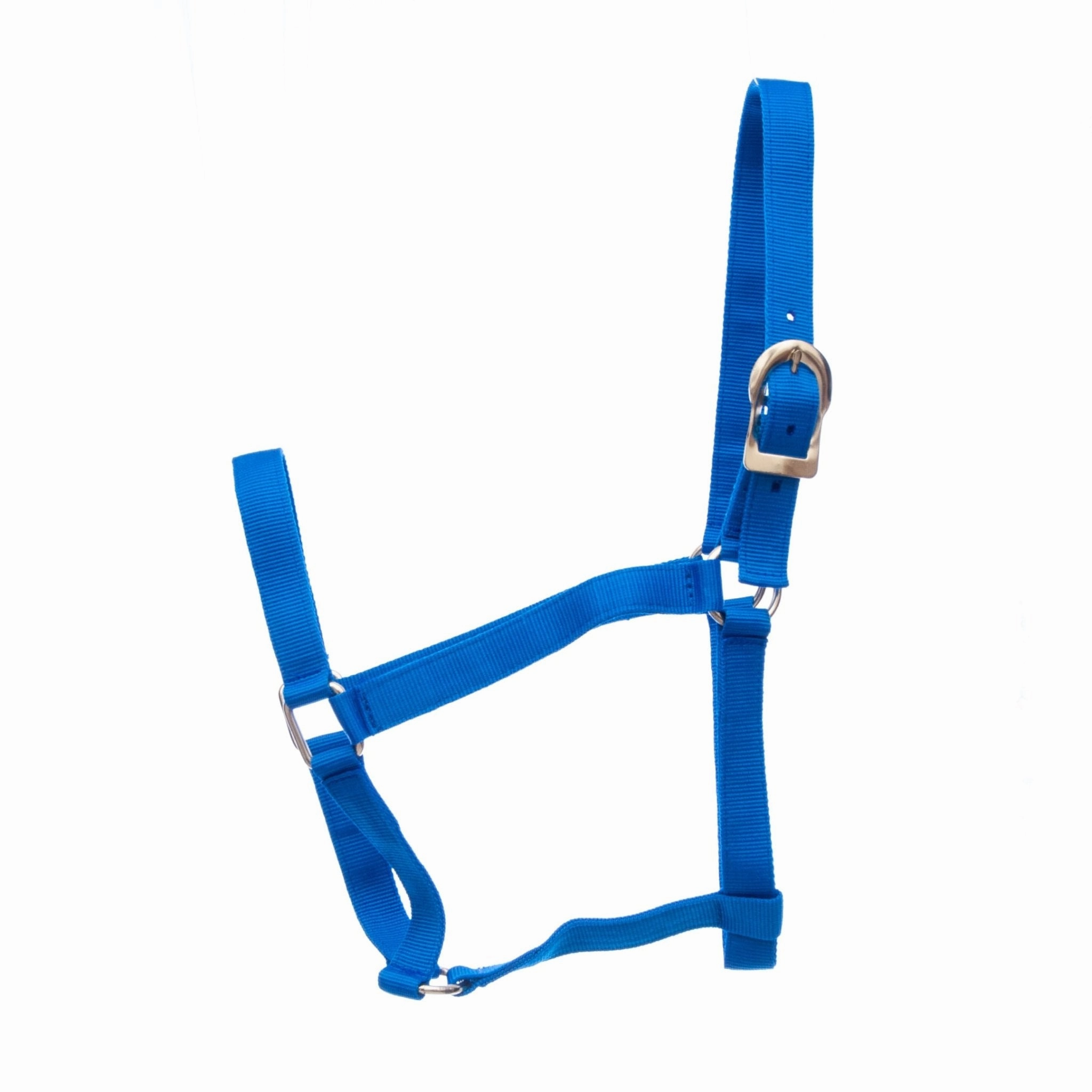Jeffers Turnout Nylon Horse Halters, 2-Ply, 1"